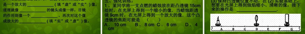 八年级物理上册 第三章 透镜及其应用复习课件3 新人教版 课件