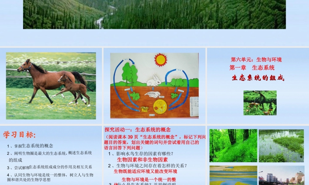 八年级生物下册 第六单元第一章第一节生态系统课件 济南版 课件