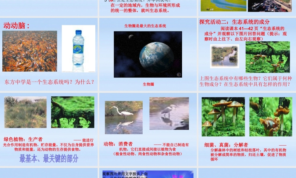 八年级生物下册 第六单元第一章第一节生态系统课件 济南版 课件