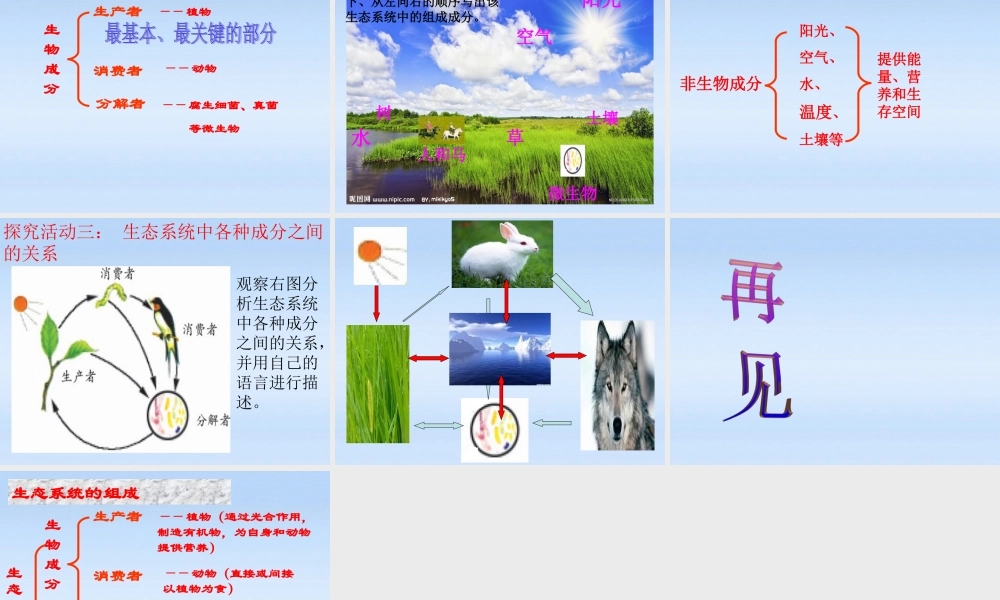 八年级生物下册 第六单元第一章第一节生态系统课件 济南版 课件