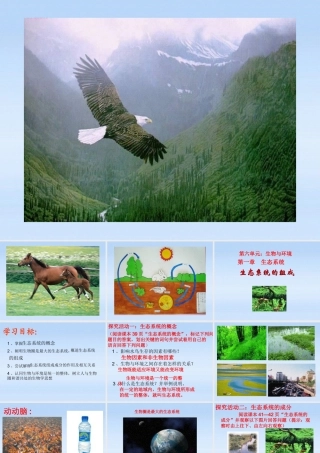 八年级生物下册 第六单元第一章第一节生态系统课件 济南版 课件