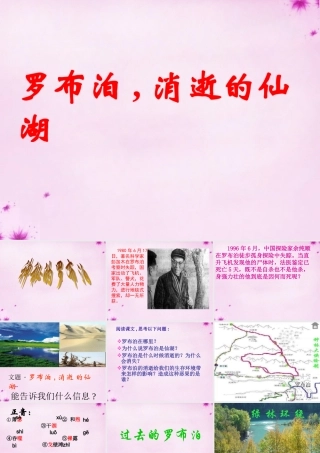 八年级语文下册 3.12(罗布泊，消逝的仙湖)课件 (新版)新人教版 课件