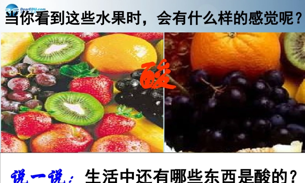 九年级科学上册 12 探索酸的性质(第一课时)课件 浙教版 课件