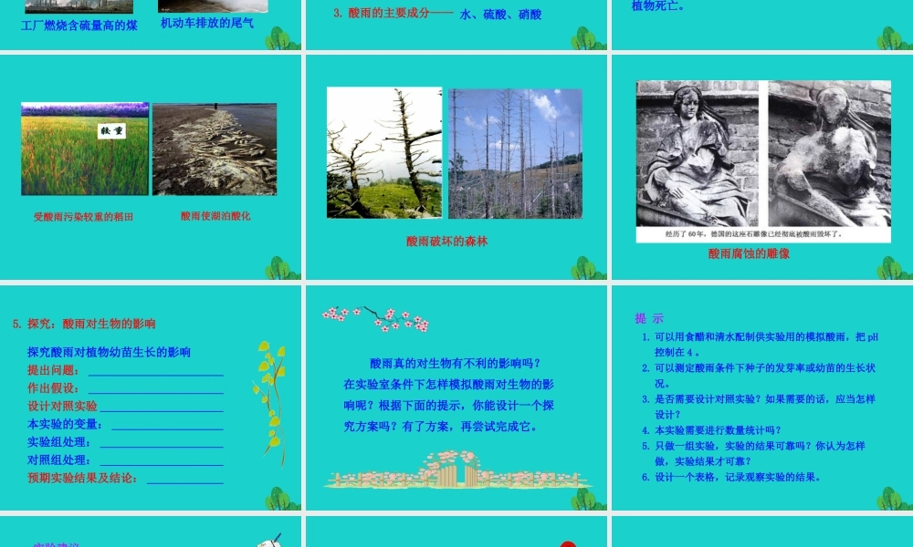 七年级生物下册 4.7.2探究环境污染对生物的影响课件(新版)新人教版 课件