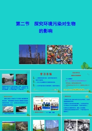 七年级生物下册 4.7.2探究环境污染对生物的影响课件(新版)新人教版 课件