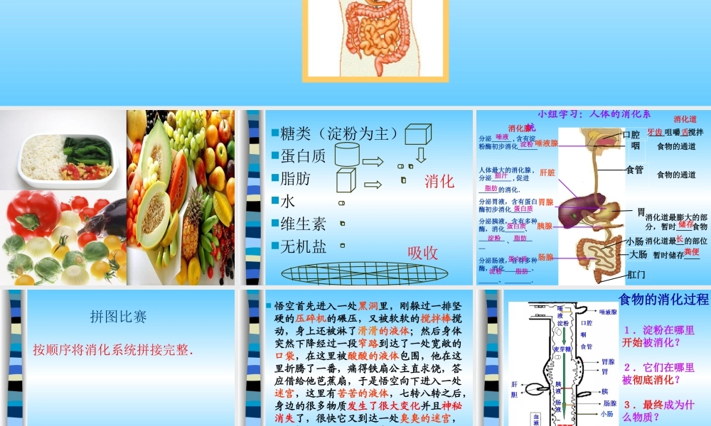 七年级生物上册第3章人体的物质和能量来源于食物第4节人体对食物的消化吸收课件苏科版 课件