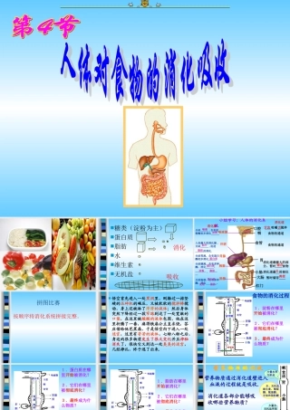 七年级生物上册第3章人体的物质和能量来源于食物第4节人体对食物的消化吸收课件苏科版 课件