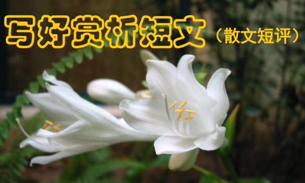 写好赏析短文 散文短评 人教版 课件