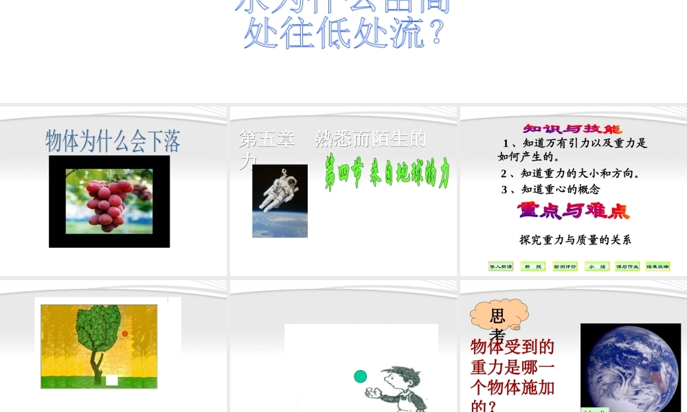 八年级物理 重力课件课件 沪科版 课件