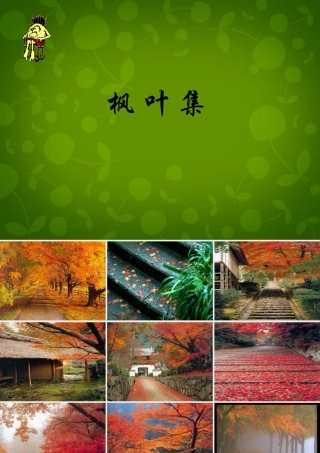 中学七年级语文上册 枫叶图片课件 新人教版 课件