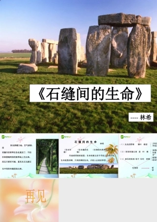 七年级语文上册(石缝间的生命)课件 上海五四制版 课件