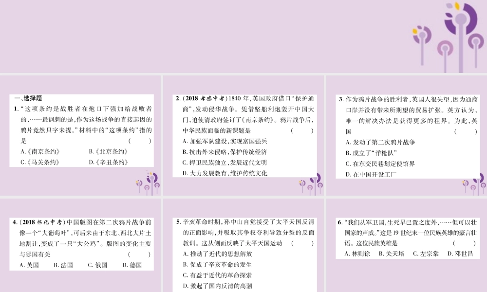 中考历史总复习 第二编 热点专题速查篇 专题1 列强的侵略与中国人民的抗争(精练)课件