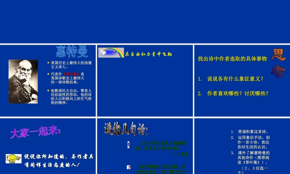 七年级语文下册 第25课(在自由和力量中飞翔)课件 上海五四制版 课件