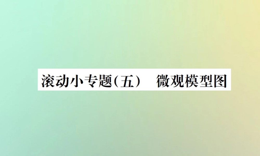 中考化学复习 滚动小专题(五)微观模型图课件