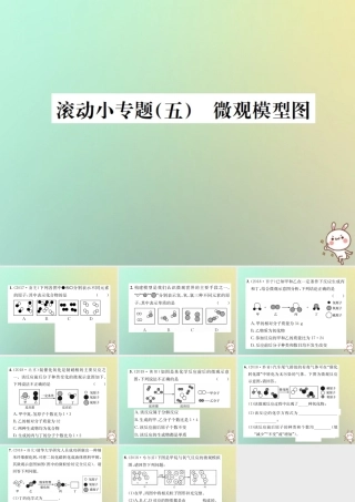 中考化学复习 滚动小专题(五)微观模型图课件