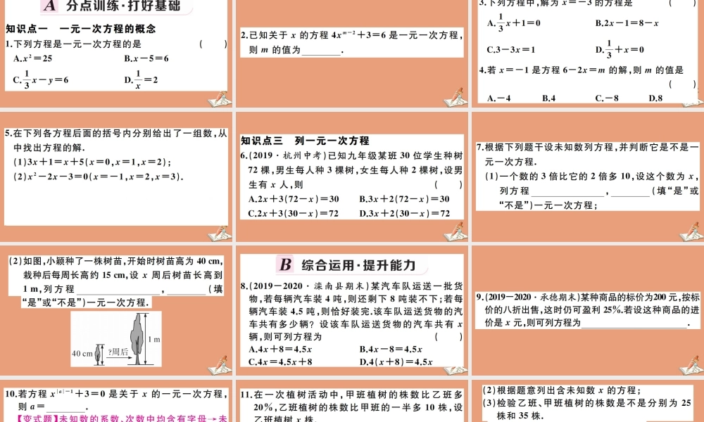 学上册 第五章 一元一次方程 5.1 一元一次方程作业课件 (新版)冀教版 课件