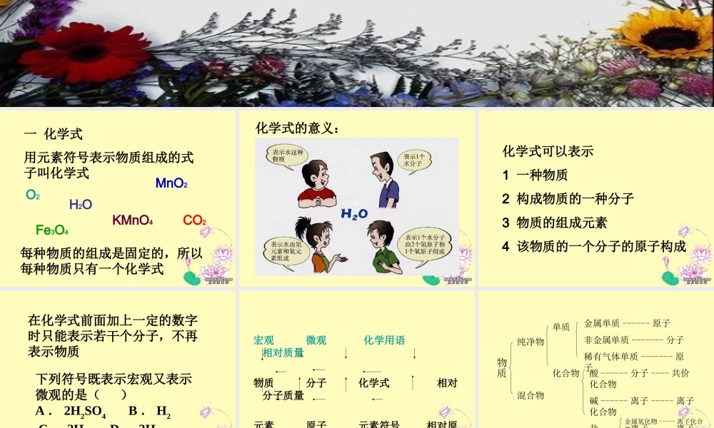 化学式和化合价九年级化学课件 新课标 人教版 课件