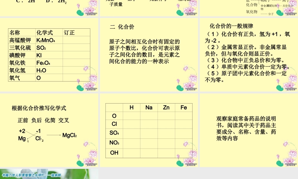 化学式和化合价九年级化学课件 新课标 人教版 课件