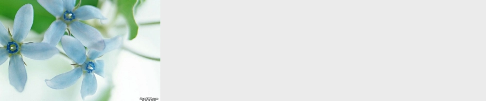 化学式和化合价九年级化学课件 新课标 人教版 课件