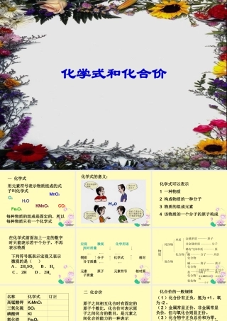 化学式和化合价九年级化学课件 新课标 人教版 课件