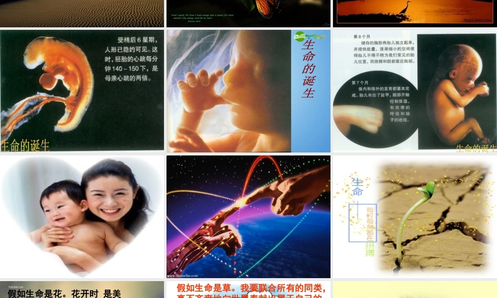 八年级思想品德上册 第二单元 感悟生命 珍爱生命 第五课 珍爱我们的生命课件 湘教版 课件