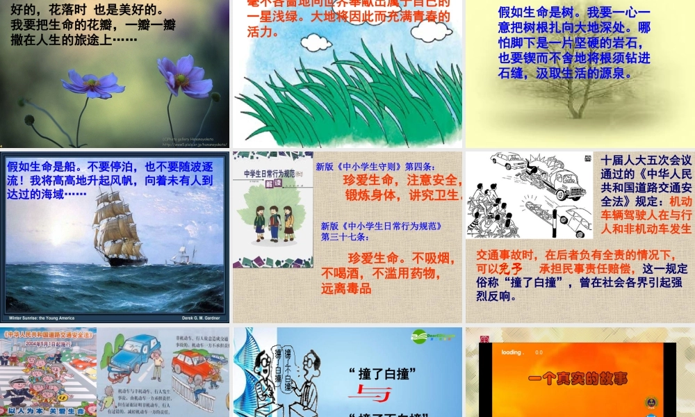 八年级思想品德上册 第二单元 感悟生命 珍爱生命 第五课 珍爱我们的生命课件 湘教版 课件