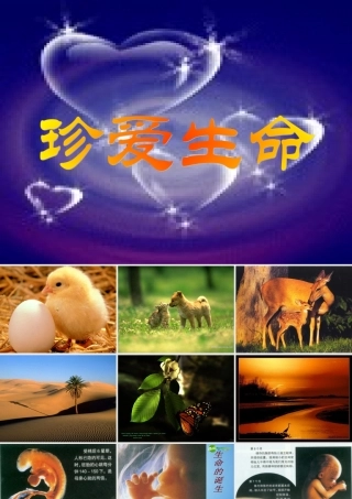 八年级思想品德上册 第二单元 感悟生命 珍爱生命 第五课 珍爱我们的生命课件 湘教版 课件