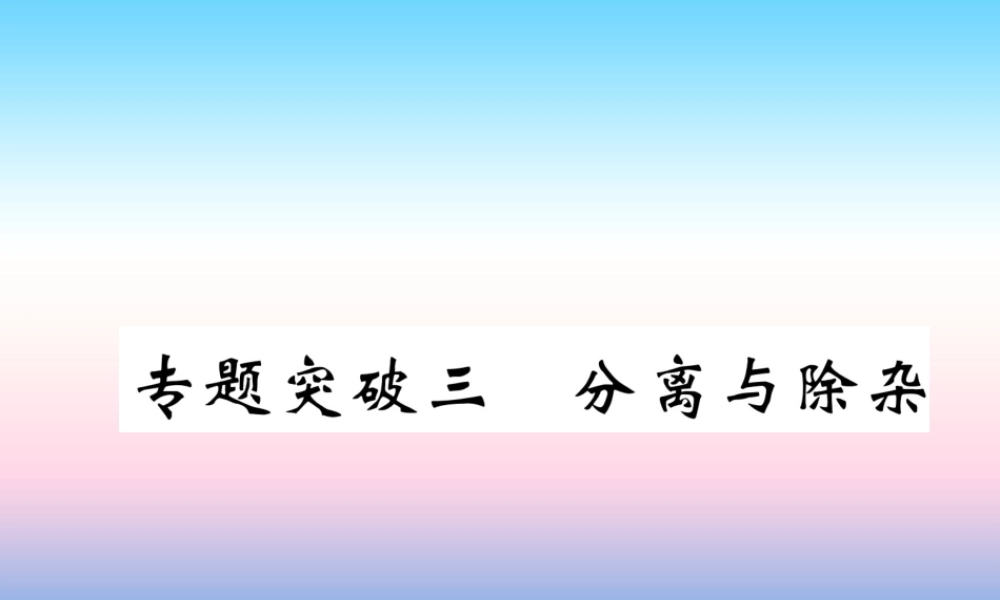 中考化学复习 第2编 重点专题突破篇 专题突破3 分离与除杂(精讲)课件