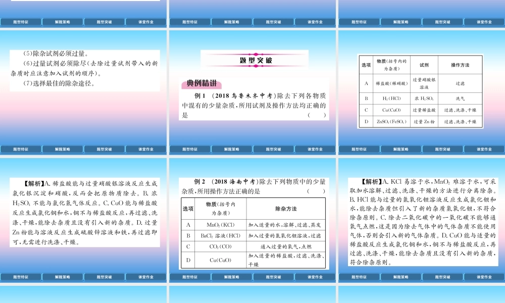 中考化学复习 第2编 重点专题突破篇 专题突破3 分离与除杂(精讲)课件