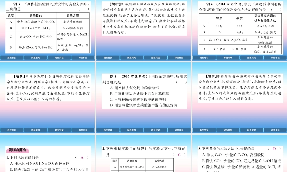 中考化学复习 第2编 重点专题突破篇 专题突破3 分离与除杂(精讲)课件