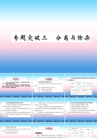 中考化学复习 第2编 重点专题突破篇 专题突破3 分离与除杂(精讲)课件