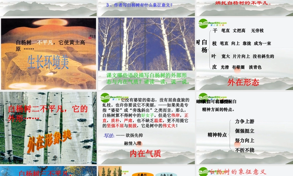 八年级语文下册 第一单元第2课(白杨礼赞)课件 苏教版 课件