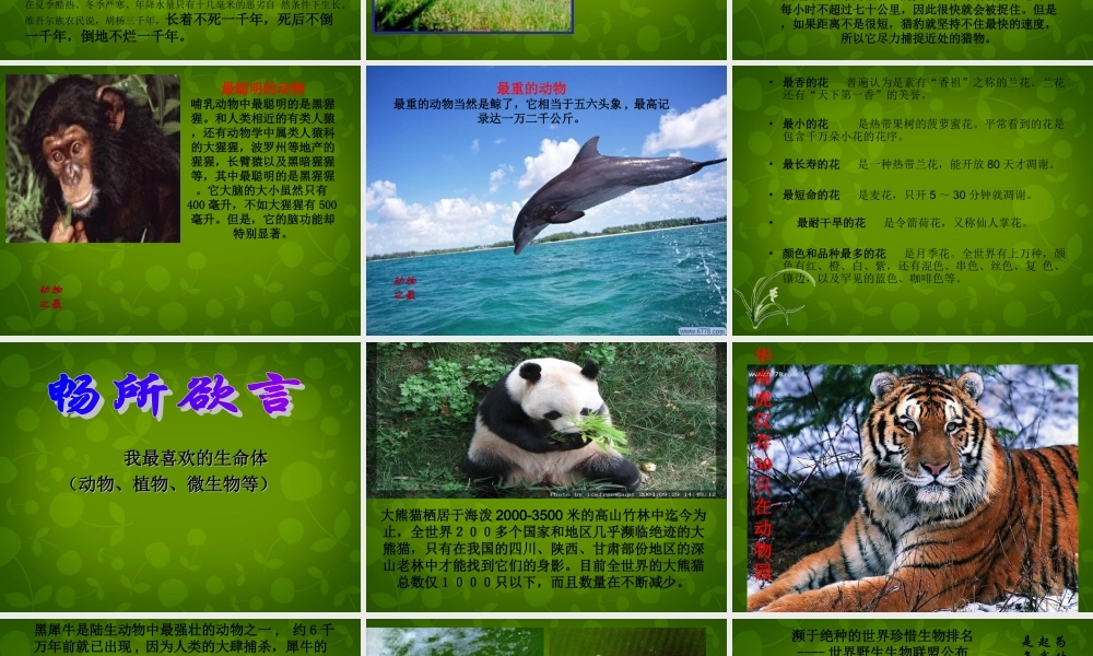 中学七年级政治上册 3.1 世界因生命而精彩课件 新人教版 课件