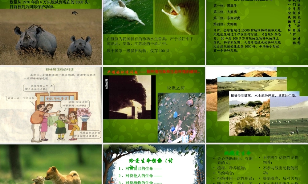 中学七年级政治上册 3.1 世界因生命而精彩课件 新人教版 课件