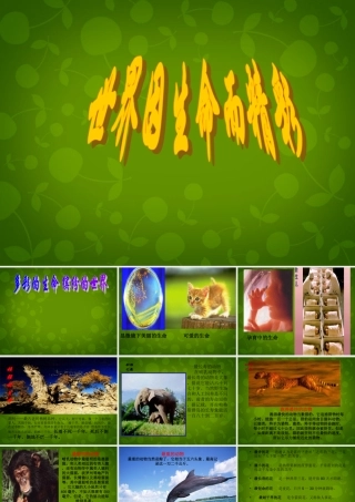 中学七年级政治上册 3.1 世界因生命而精彩课件 新人教版 课件