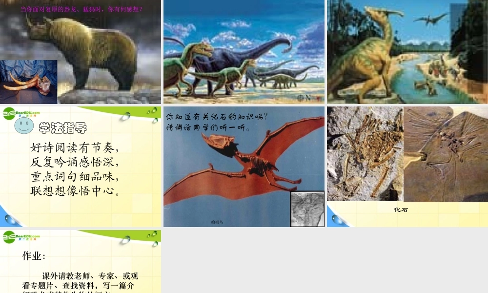 七年级语文上册(化石吟)课件 人教新课标版 课件