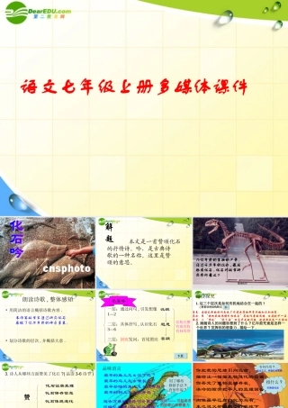 七年级语文上册(化石吟)课件 人教新课标版 课件