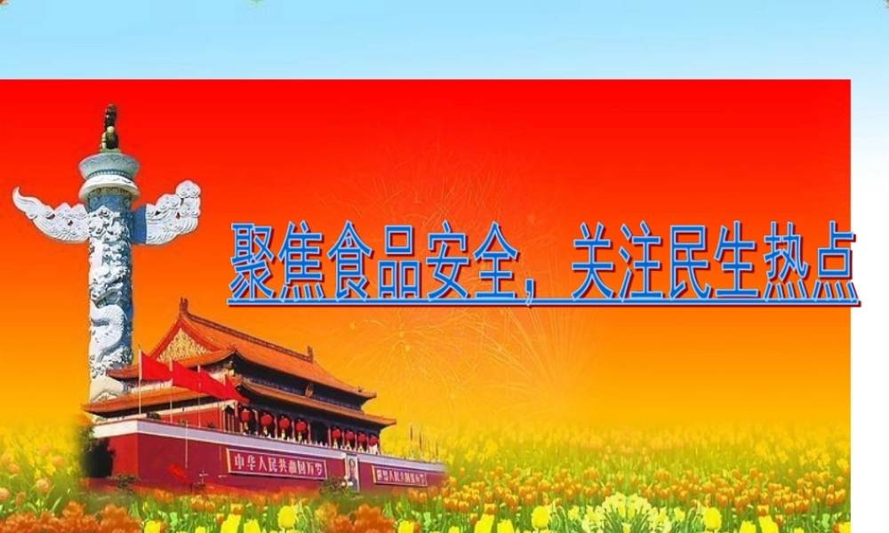 中考政治专题复习 聚焦食品安全关注民生 课件