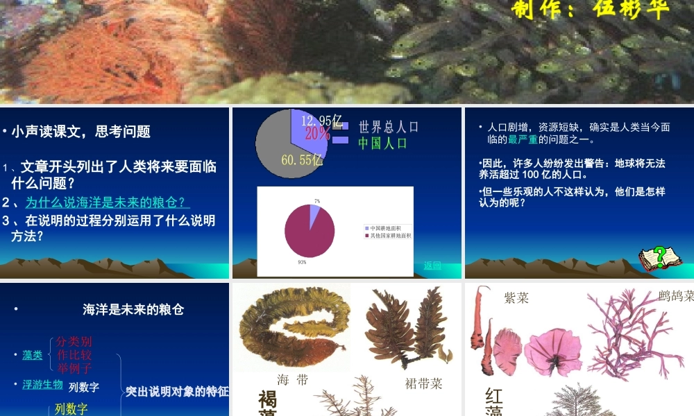 八年级语文海洋是未来的粮仓课件 语文版 课件