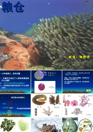 八年级语文海洋是未来的粮仓课件 语文版 课件