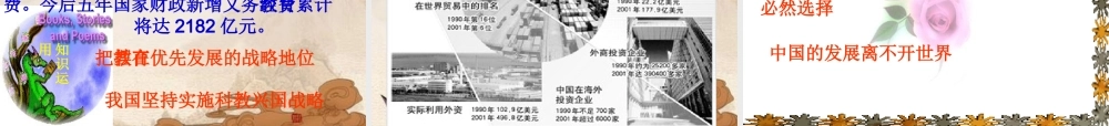九年级政治 第四课(了解基本国策与发展战略)复习课件 人教新课标版 课件