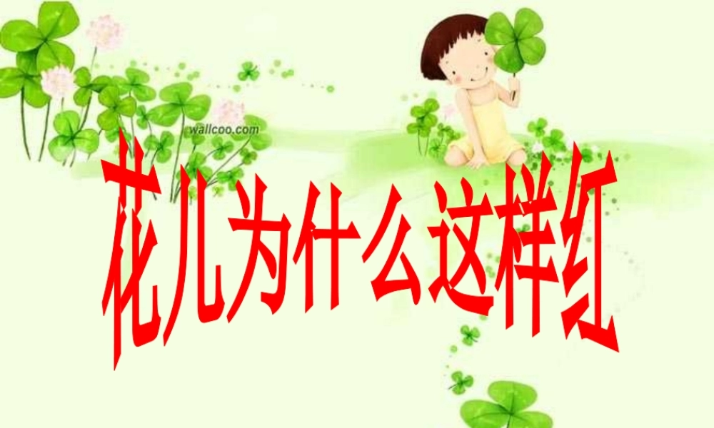 八年级语文上册 第五单元 第17课(花儿为什么这样红)课件 (新版)语文版 课件