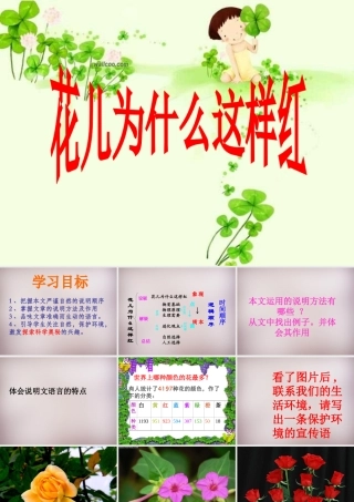 八年级语文上册 第五单元 第17课(花儿为什么这样红)课件 (新版)语文版 课件