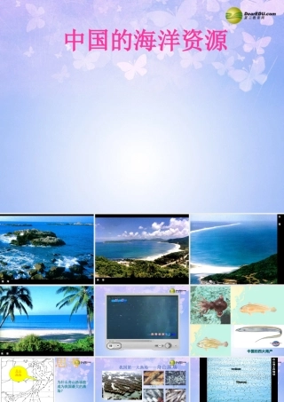 八年级地理上册(中国的海洋资源)课件 湘教版 课件