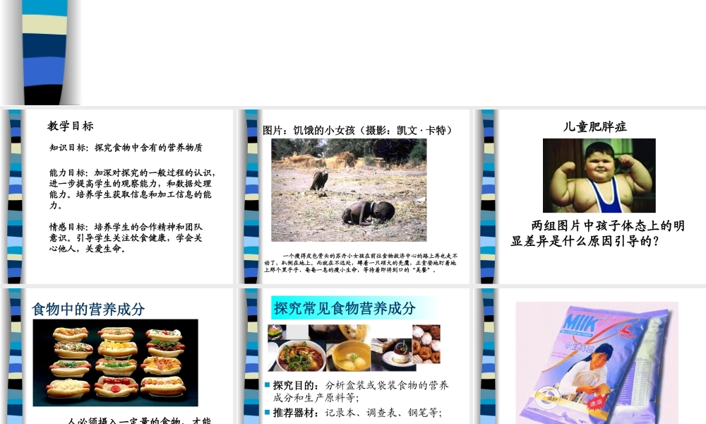 七年级生物人体需要的主要营养物质课件