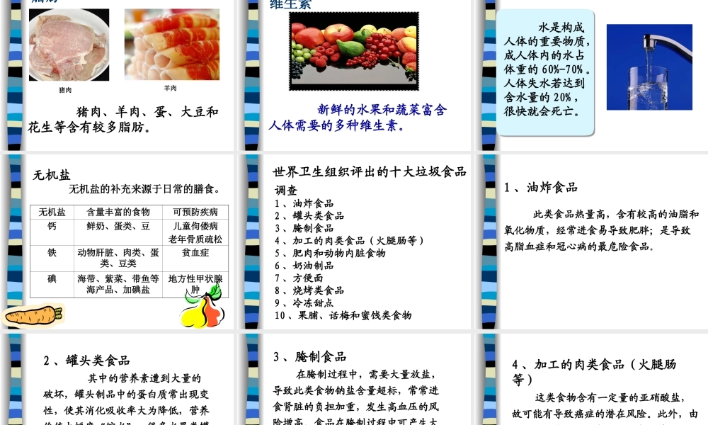 七年级生物人体需要的主要营养物质课件