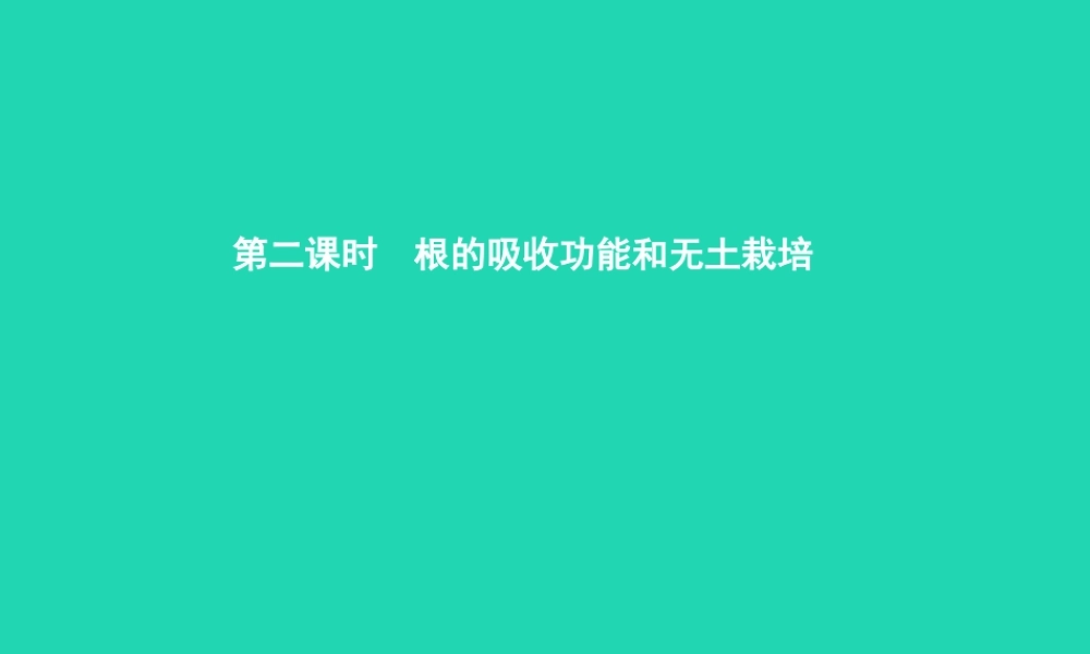 八年级生物上册 第四单元 第一章 第五节 根的结构与功能(第2课时 根的吸收功能和无土栽培)课件 (新版)济南版 课件
