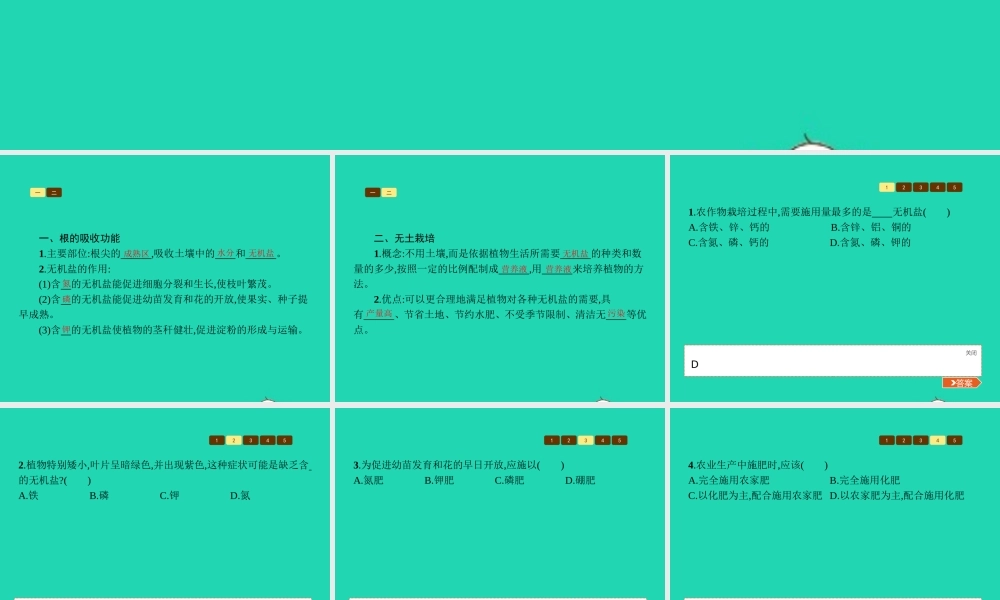 八年级生物上册 第四单元 第一章 第五节 根的结构与功能(第2课时 根的吸收功能和无土栽培)课件 (新版)济南版 课件