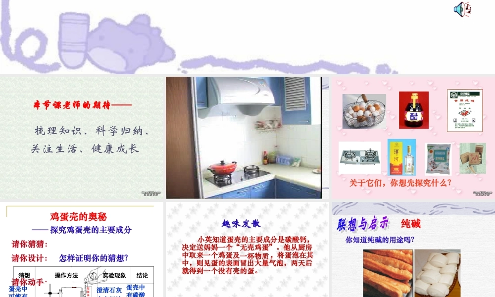 人教版初三化学复习课件 厨房里的化学 课件