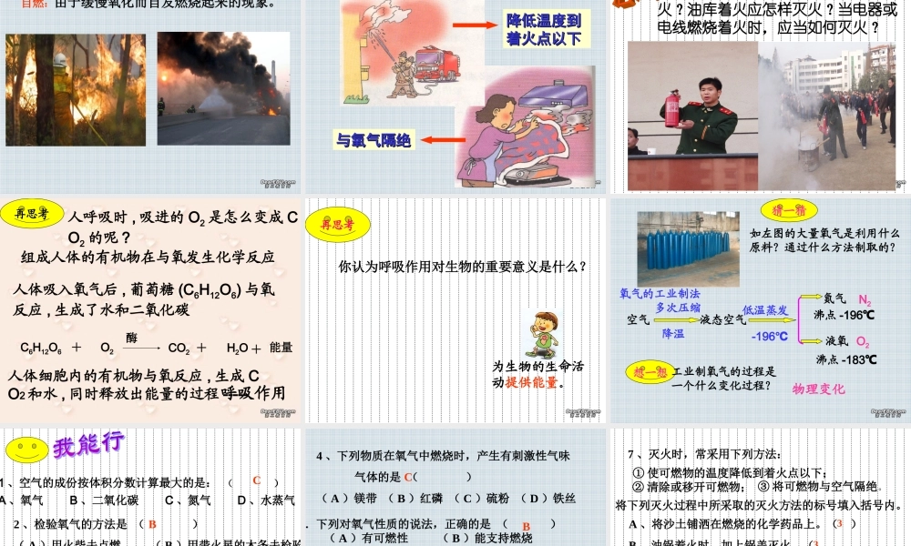 初三化学空气和生命单元复习 浙教版 课件